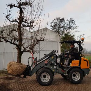 Transport van een fruitboom