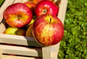 Appels plukken