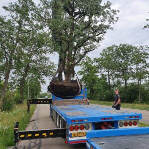 Transport en Planten