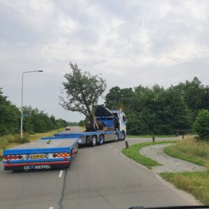 transport3